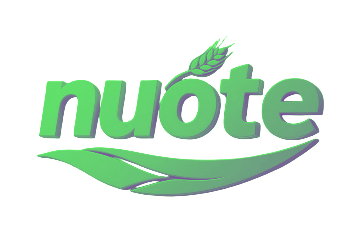 Nuoxin